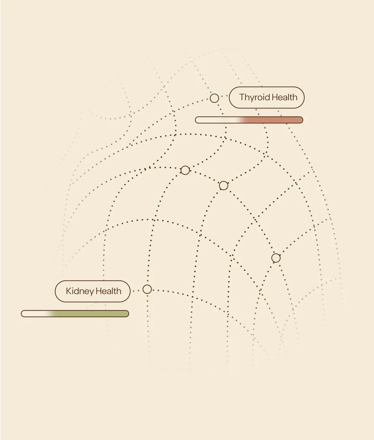 6816018ba69b5a7c402d17ac_scheme